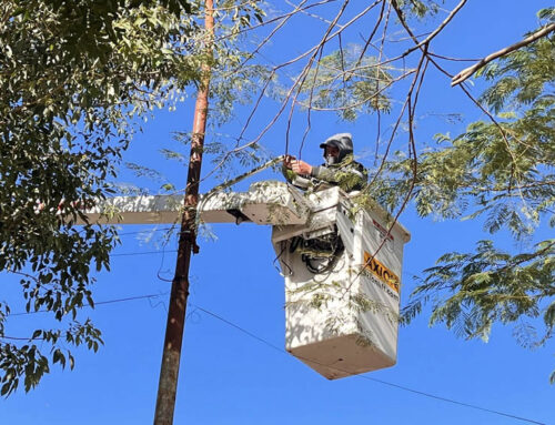 Finalizan trabajos de iluminación en la Plaza Manuel Belgrano