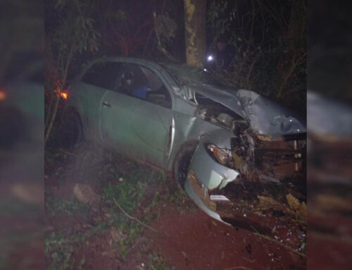 Despiste y choque contra un árbol en Puerto Esperanza: un joven fue derivado al Samic de Eldorado