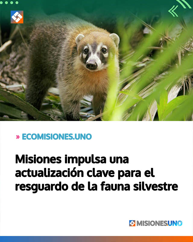 Misiones impulsa una actualización clave para el resguardo de la fauna silvestre