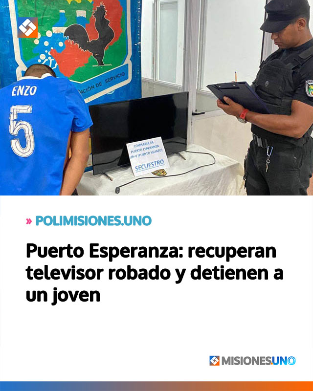 Puerto Esperanza: recuperan televisor robado y detienen a un joven
