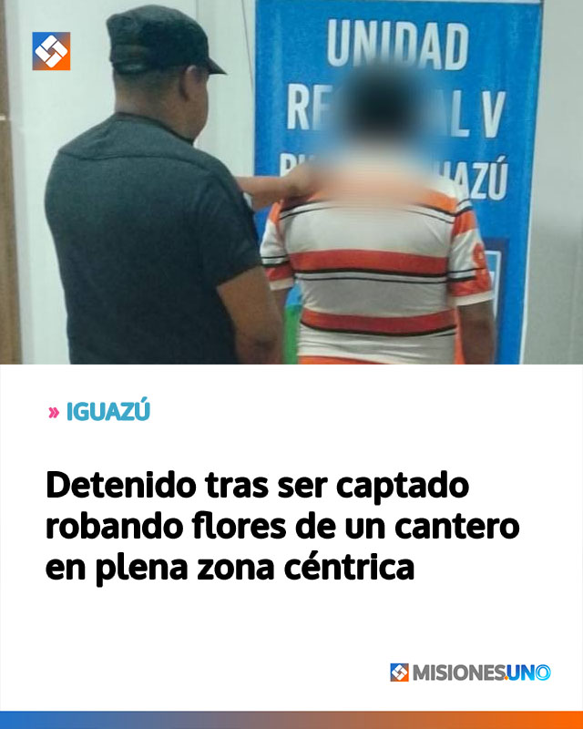 Detenido tras ser captado robando flores de un cantero en plena zona céntrica